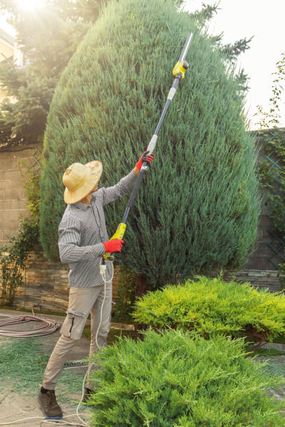 Lawn Pest Prevention in Geneva, WA